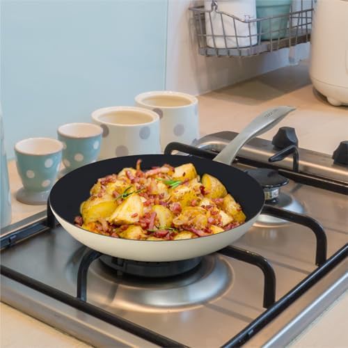 Enameled Antique White Cast Iron Pan — photo 5