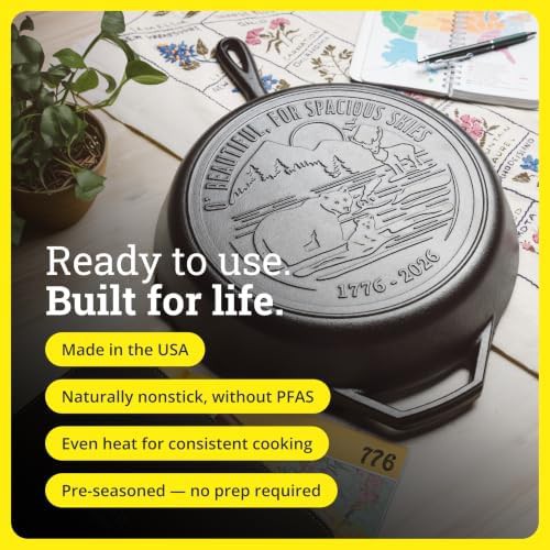 Lodge spacious skies cast iron skillet — photo 3